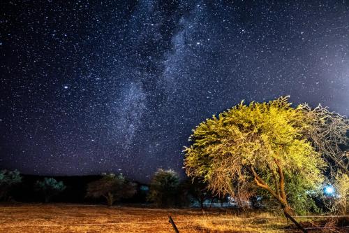 Tintswalo at Lapalala – Photos 3