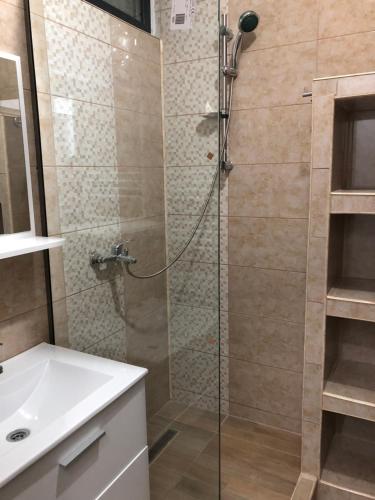 uma casa de banho com um chuveiro e um lavatório. em Smaraldul Madalinei em Constança