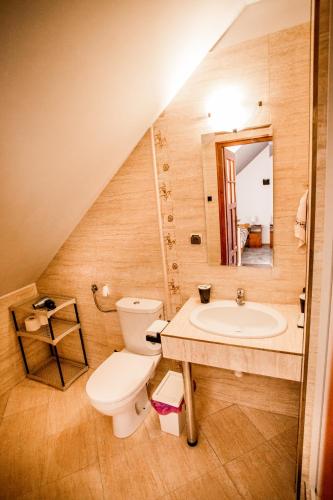 a bathroom with a toilet and a sink at POKOJE RODIS in Ustrzyki Dolne