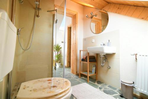 a bathroom with a shower and a toilet and a sink at Ferienhaus Eifelrose in Simmerath