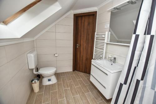 a bathroom with a toilet and a sink at É-Vaskó Panzió Borpince in Tokaj