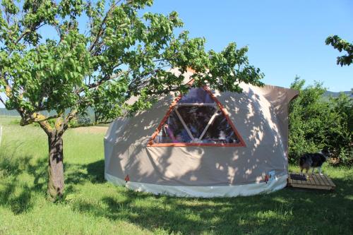 a tent in a field next to a tree at L'Attrape Rêve Insolite in Saint-Vincent-de-Barrès