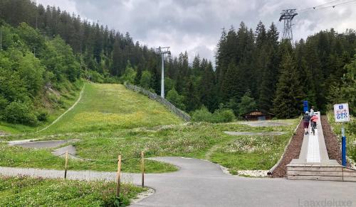 a path on the side of a hill with trees at Rancho Laaxdeluxe in Laax