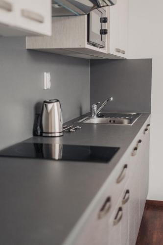 eine Küche mit einer Spüle und einer Arbeitsplatte in der Unterkunft Cozy studio, 400m from the square in Pilsen