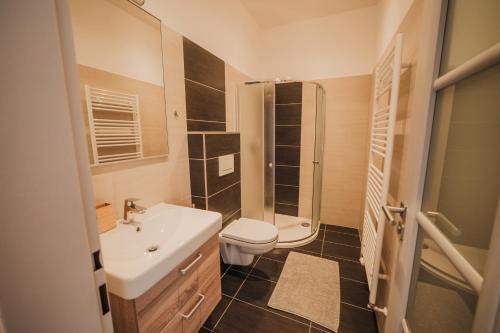 ein Bad mit einem Waschbecken, einem WC und einer Dusche in der Unterkunft Cozy studio, 400m from the square in Pilsen