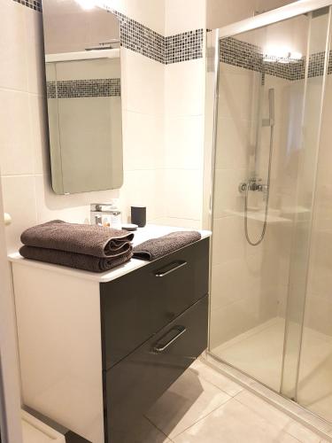 une salle de bain avec douche et lavabo dans l'établissement Les Cocons de Bordeaux, à Bordeaux