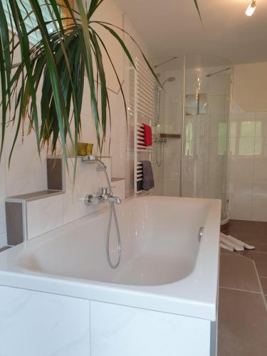 Haus Bargara – Photos 5