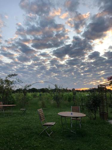 a table and chairs in a field with a cloudy sky at Cascina La Maddalena Bed & Wine in Rocca Grimalda