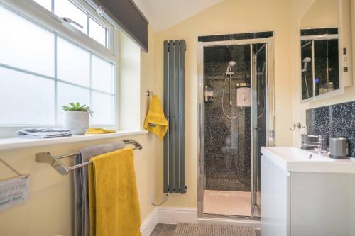 a bathroom with a shower and a sink at Nesscliffe in Llangollen