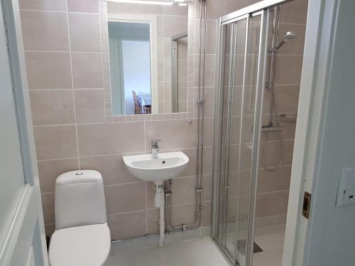 a bathroom with a toilet and a sink and a shower at Bech's Hotell & Camping in Mo i Rana