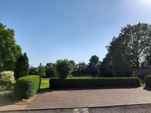 a garden with hedges and a brick walkway at Ferienwohnung Heck in Waldeck