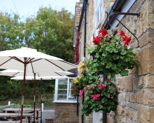 Parrett Hotel – Photos 5