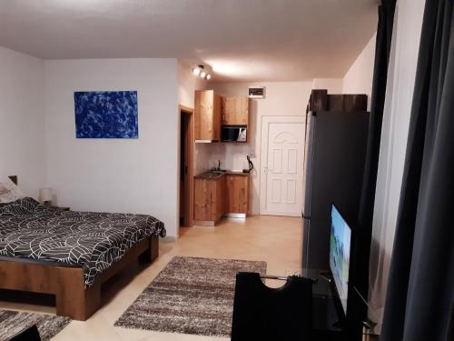 een slaapkamer met een bed en een tv in een kamer bij Mira apartman Queen lakosztály in Debrecen