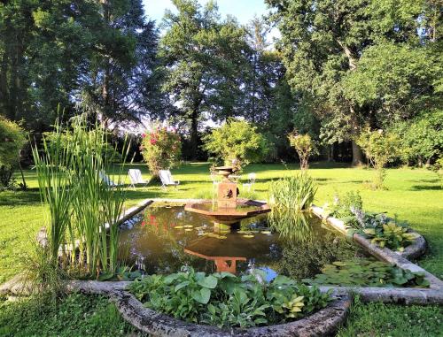 a pond with a fountain in the middle of a yard at Château de la Vernède, la Grande Vernède in Saint-Rémy-de-Chargnat
