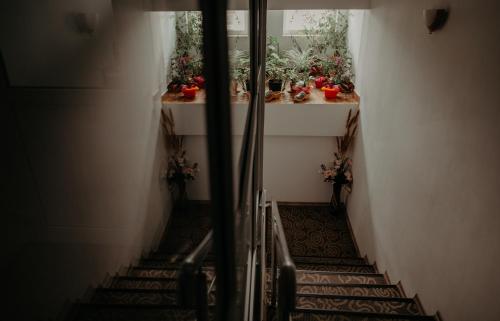 a hallway with stairs with plants and a window at Juliana Platinum Brad in Brad