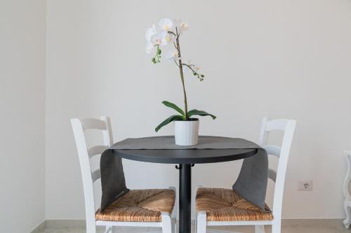 a black table with a potted plant on top at Casa Palanca Camere in Sirolo