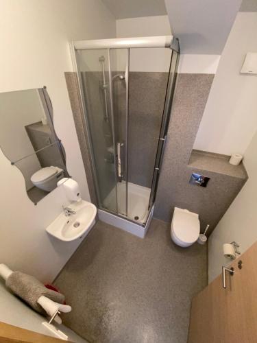 ein Bad mit einer Dusche, einem Waschbecken und einem WC in der Unterkunft Hörgsland Guesthouse in Hörgsland