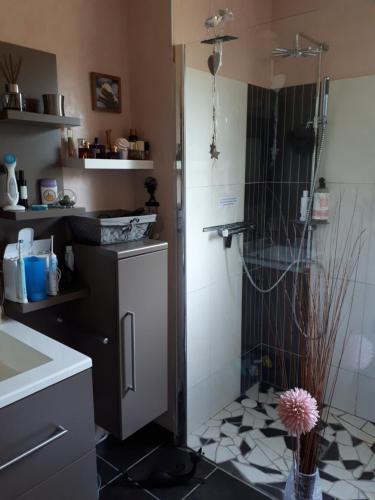 a bathroom with a shower with a sink and a toilet at Chez les catherine in Saintes