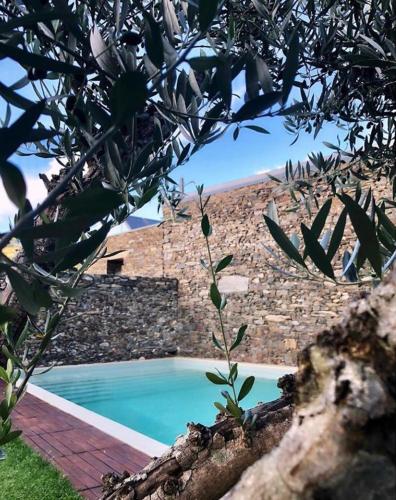 Πισίνα στο ή κοντά στο Morgadio da Calcada Douro Wine&Tourism