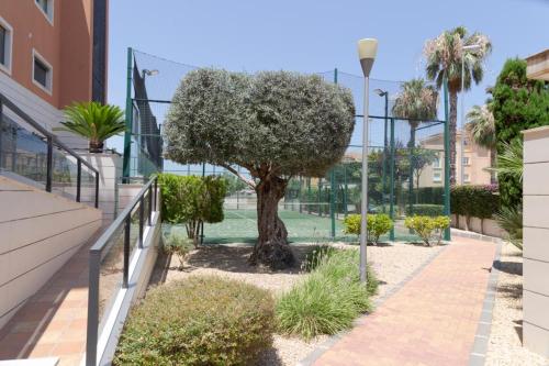 a tree in a park next to a building at Jardines de las Marinas Premium in Denia