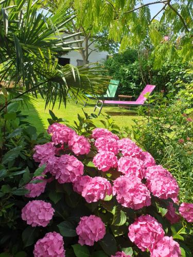 a garden with pink flowers and a chaise lounge at Chambres d'hôtes de La Roche in Frossay