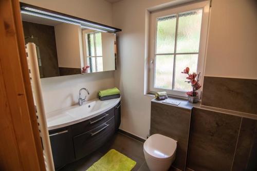 a bathroom with a sink and a toilet and a window at Ferienhaus Stolz in Sankt Peter am Kammersberg