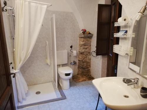 a bathroom with a shower and a toilet and a sink at Le Petit Chateau in Vezzi Portio