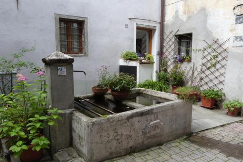 a garden outside a building with potted plants at Appartamento CADELAVE in Villa di Chiavenna