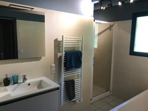 a bathroom with a shower and a sink and a mirror at Spa et détente au cœur de la forêt des Landes - 3 étoiles in Luglon