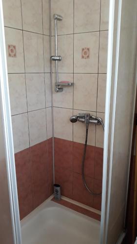a shower with a hose in a bathroom at Chata Białobrzeg in Białobrzeg Dalszy