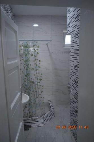 Un baño con ducha, lavabo e inodoro. en Apartmani Ruj, en Soko Banja