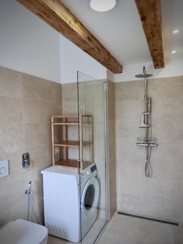 una lavatrice in un bagno con doccia di Bonsai House a Portoroz