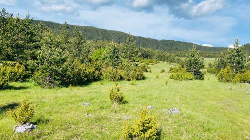 Gambar di galeri bagi Eco Village Pavlovic di Žabljak