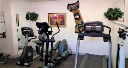 Fitness centrum a/nebo fitness zařízení v ubytování Sedona Pines Resort