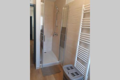 a bathroom with a walk in shower and a walk in shower at Maison Aigues-Mortes 8 couchages in Aigues-Mortes