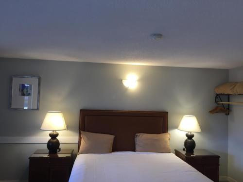 a bedroom with a bed with two lamps on it at VIP Motel in Parksville