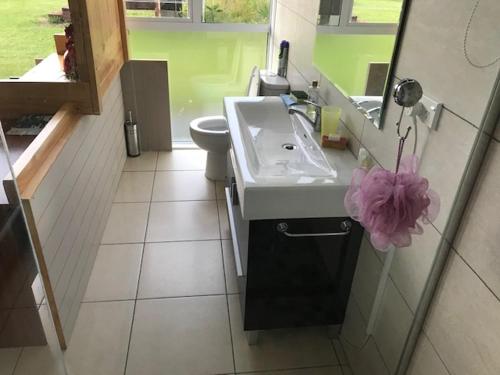 a bathroom with a sink and a toilet at Room with a view in Waipu