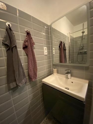 a bathroom with a sink and a mirror at Erholen Garantiert in Dresden