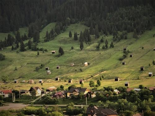 Foto de la galería de Pensiunea Casa-Stefanel en Sadova