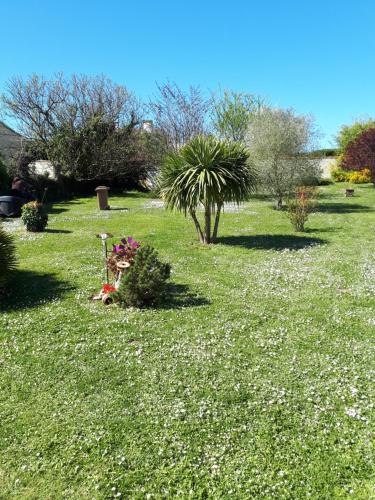 un jardín con flores y plantas en la hierba en Chez les catherine, en Saintes