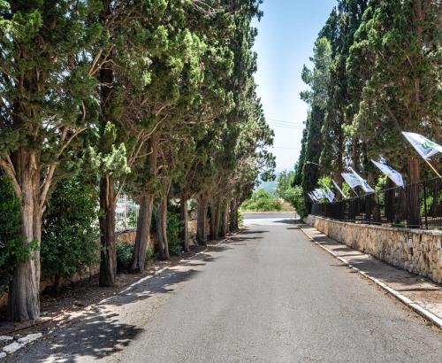Fotografie z fotogalerie ubytování Eden Inn v destinaci Zichron Ja'akov