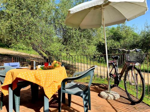 a table with an umbrella and a bicycle on a deck at Residence Le Meridiane in Siena