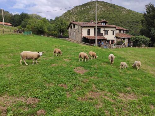 アパートメントの敷地内または近くにいる動物