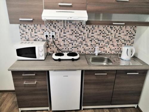 a kitchen counter with a microwave and a sink at Penzion Sloup in Sloup