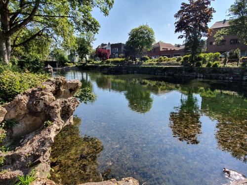 アラスにあるLe Jardin Minelleの木々や建物が茂る公園内の川