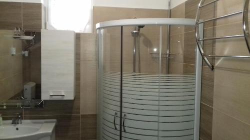 uma casa de banho com um chuveiro e um lavatório. em Karolina Appartman em Balatonkeresztúr
