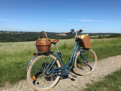 a blue bike with baskets parked on a dirt road at Ferienwohnung Prüfer in Greiz