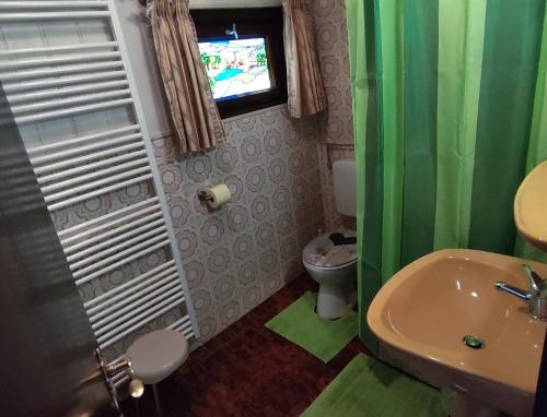 TV y baño con lavabo y aseo. en Ferienblockhaus Harzidyll en Wieda