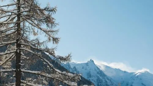 Les Rives d'Argentière photo 18