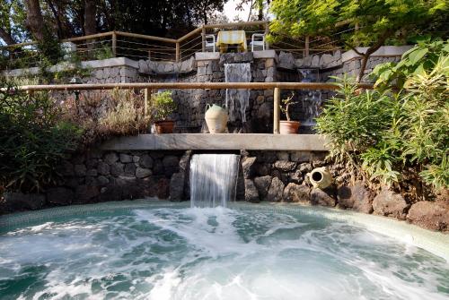 a plunge pool with a waterfall in a backyard at Hotel Giardino Delle Ninfe E La Fenice in Ischia